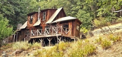 (private lake, pond, creek) Home For Sale in Hayfork California