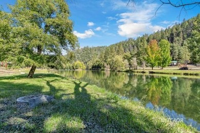 (private lake, pond, creek) Home For Sale in Douglas City California