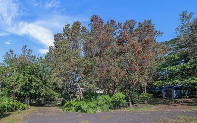 ~Motivated Seller~ Opportunity awaits on Ginger Blossom Lane! - photo 29
