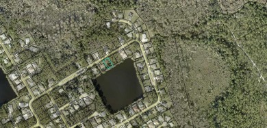 (private lake, pond, creek) Lot For Sale in Palm Coast Florida