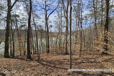 NEW PRICE, JUST FOR YOU! Are you looking for a lakefront home - photo 55