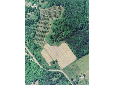 (private lake, pond, creek) Lot For Sale in Beulah Michigan