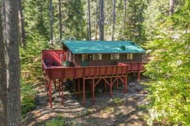 Trinity Lake / Clair Engle Lake Home For Sale in Trinity Center California