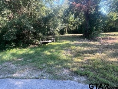 Lake Lot For Sale in Tool, Texas