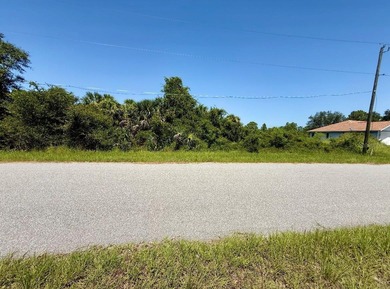 Build your dream home on this spacious 1/2-acre lot, nestled in - photo 3