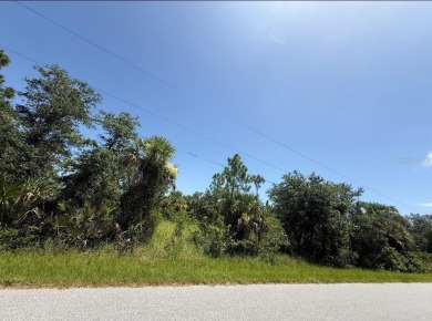 Port Charlotte Waterway Lakes Area Lot For Sale in Port Charlotte Florida