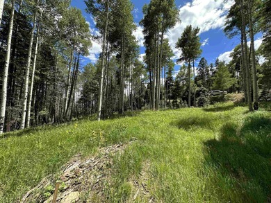 Monte Verde Lake Lot For Sale in Angel Fire New Mexico