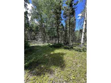 Aspens, pines, elk OH MY!! This ideal spot for your mountain - photo 2