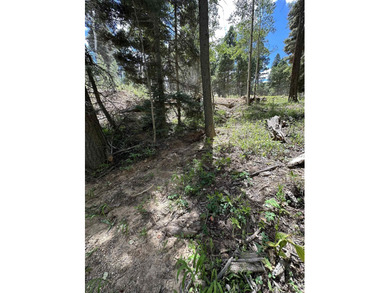 Aspens, pines, elk OH MY!! This ideal spot for your mountain - photo 3