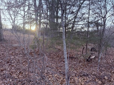 Stockton Lake Lot For Sale in Greenfield Missouri