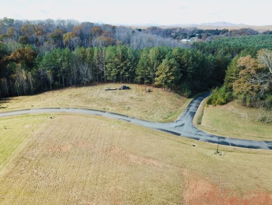 Lake Lot For Sale in Moneta, Virginia