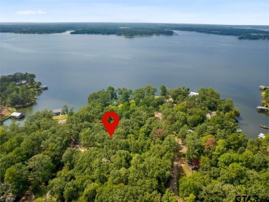 Lake Bob Sandlin Home For Sale in Pittsburg Texas