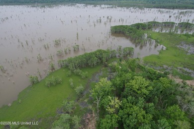 Welcome to a true South Mississippi sportsman's paradise in the - photo 17