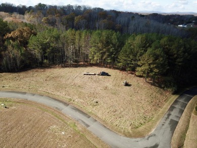 Lake Lot For Sale in Moneta, Virginia