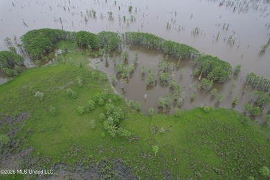 Welcome to a true South Mississippi sportsman's paradise in the - photo 23