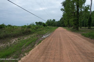 Welcome to a true South Mississippi sportsman's paradise in the - photo 31