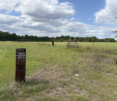 Beautiful open 17+/- acre hayfield or pasture, partially fenced - photo 3