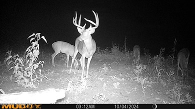 Welcome to a true South Mississippi sportsman's paradise in the - photo 39