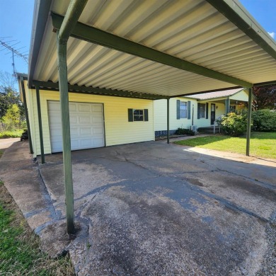 Lake Home For Sale in Ash Flat, Arkansas