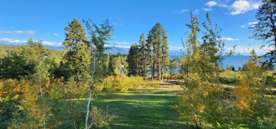 Flathead Lake Acreage For Sale in Rollins Montana