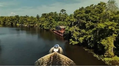 (private lake, pond, creek) Home For Sale in Springfield Louisiana