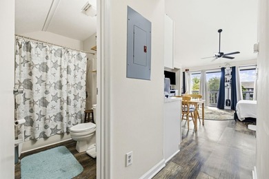 PRICE REDUCED!!!! DON'T MISS THIS OPPORTUNITY TO OWN AT THE - photo 8