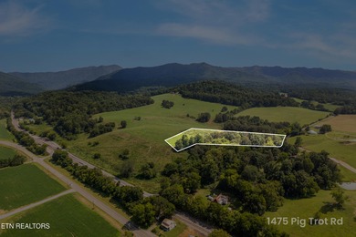 French Broad River Acreage For Sale in Newport Tennessee