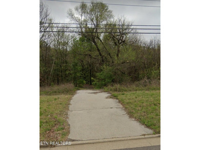 Lake Acreage For Sale in Greenback, Tennessee