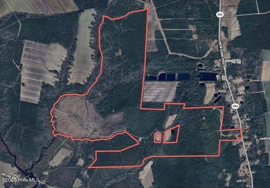 Neuse River Acreage For Sale in Grantsboro North Carolina