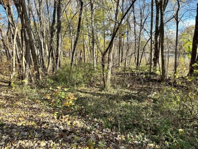 Hudson Lake Lot For Sale in New Carlisle Indiana