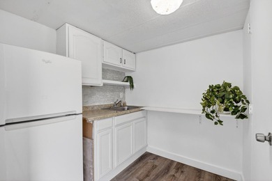 Spacious, Open and Newly Renovated 3BR /2BA home w/ contemporary - photo 27