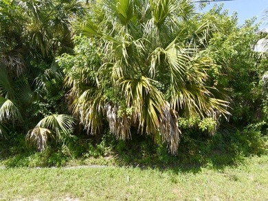 Great opportunity to build in the heart of Port St. Lucie! This - photo 1