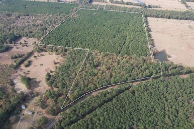 Lake Acreage For Sale in Waskom, Texas