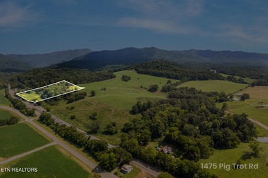 French Broad River Acreage For Sale in Newport Tennessee