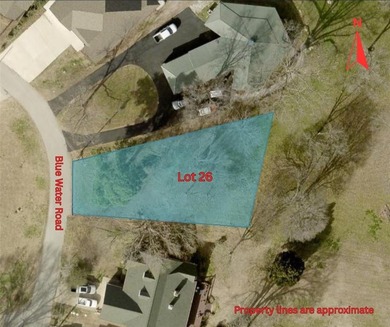 Lake Lot For Sale in Chandler, Texas