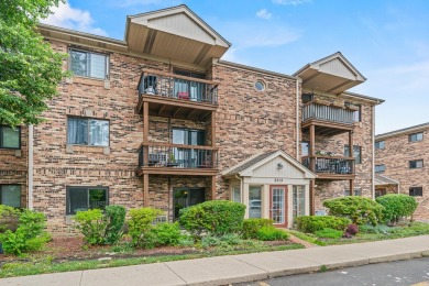 Lake Home Sale Pending in Arlington Heights, Illinois