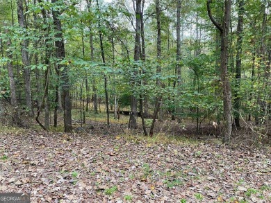 Lake Acreage For Sale in Hoschton, Georgia