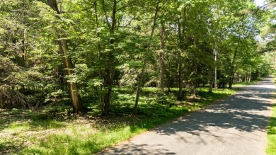 Lake Lot For Sale in Boulder Junction, Wisconsin