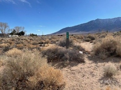 Diaz Lake Acreage For Sale in Lone Pine California