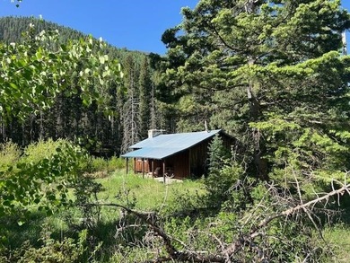 Lake Home For Sale in Taos Ski Valley, New Mexico