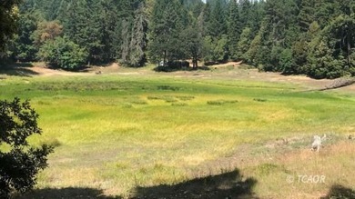(private lake, pond, creek) Acreage For Sale in Burnt Ranch California