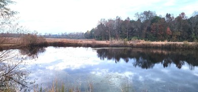 COUNTRY LIVING...Pink Hill NC is where You'll Find 1553 N. NC 41 - photo 20