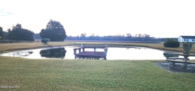 COUNTRY LIVING...Pink Hill NC is where You'll Find 1553 N. NC 41 - photo 21