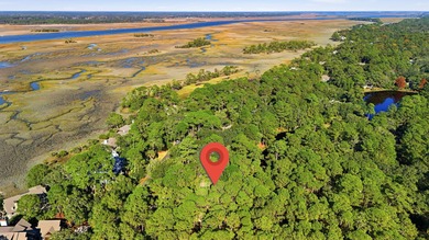 Welcome to 27 Marsh Edge Lane, a private, well-maintained Kiawah