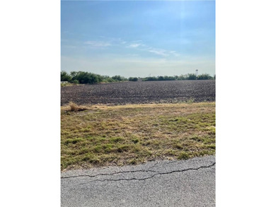 Moon Lake Acreage For Sale in Progreso Texas