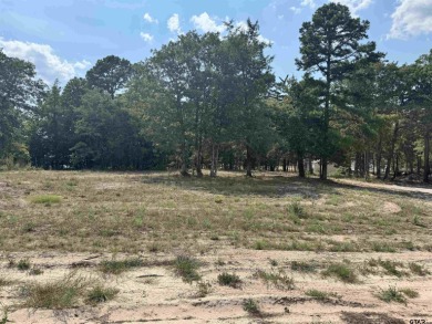 Lake Commercial For Sale in Scroggins, Texas
