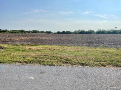 Great Fertile Irrigated & Leveled row crop farmland - great for - photo 2