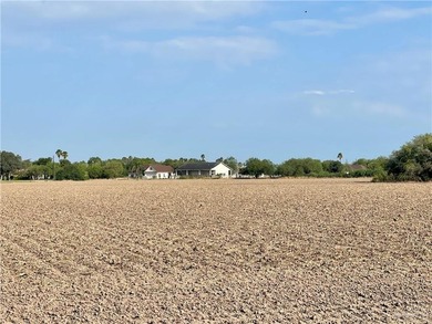 Great Fertile Irrigated & Leveled row crop farmland - great for - photo 3