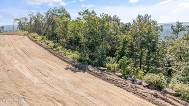 (private lake, pond, creek) Lot For Sale in Tazewell Tennessee