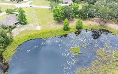 Build your dream site-built home on this beautiful half-acre - photo 11